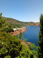 Esterel Küste