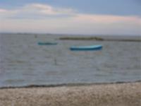 Etang de Vaccarés