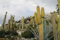 Eze-Village