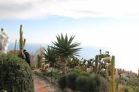 Eze-Village