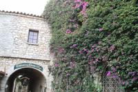 Eze-Village