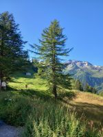 Fahrt nach Chamonix 