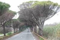 Fahrt nach Frejus