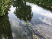 Flussromantik Indre