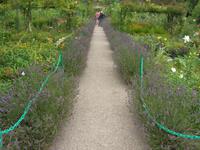 Fondation Claude Monet Blumengarten