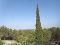 Fontvieille