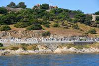 Friedhof am Meer