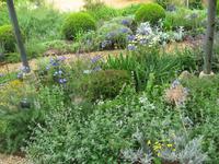 Garten in Bellême