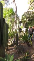 Garten von Monaco mit Reiseleiter Richard