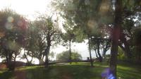 Garten von Monaco