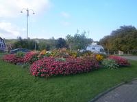 Gartengestaltung in der Nähe des Busparkplatzes von Ribeauville an der Weinstraße