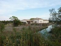 Gehöfte in der Camargue