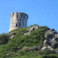 Genuesischer Turm