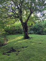 Giverny 