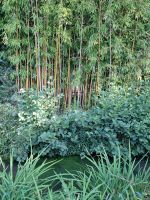 Giverny 