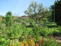 Giverny- Garten von Monet