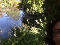 Giverny- Garten von Monet