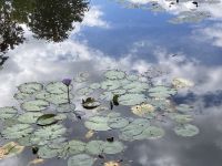 Giverny