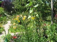 Giverny