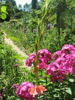 Giverny