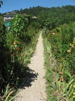 Giverny