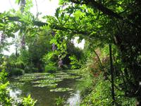Giverny