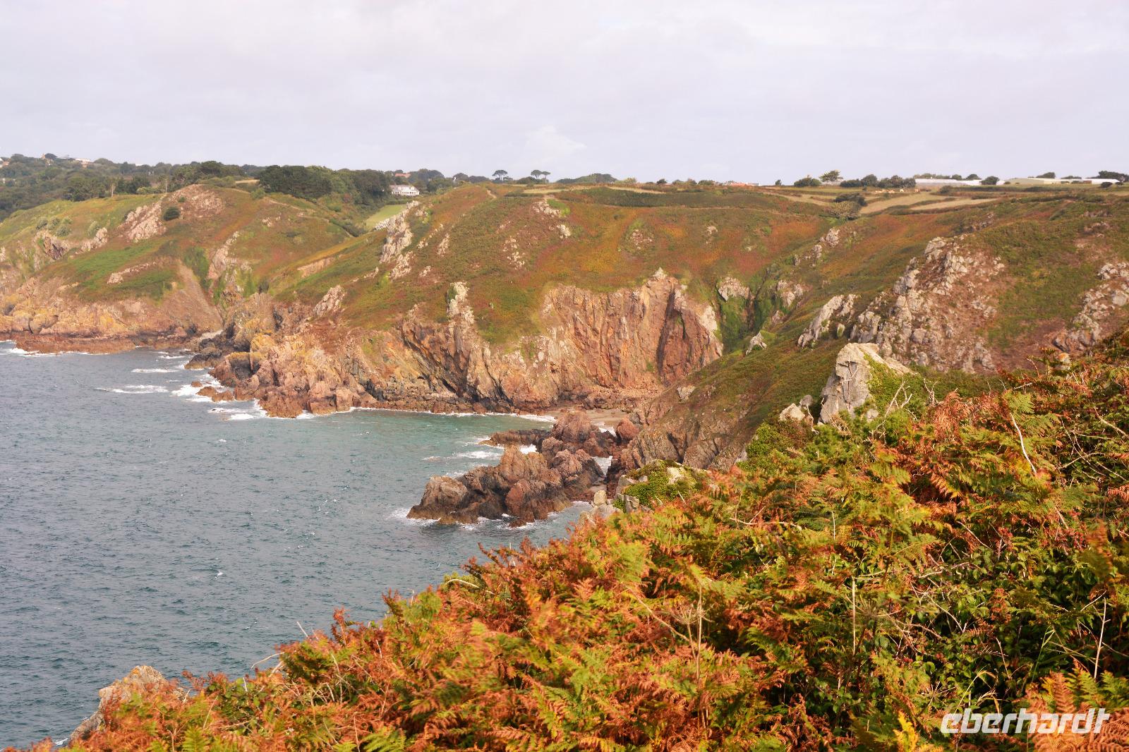 Guernsey11