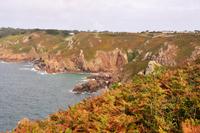 Guernsey11