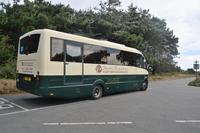 Guernsey14