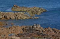Guernsey28