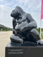 IMG 0705
