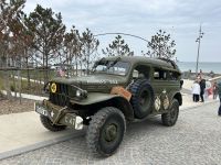IMG 0725
