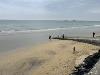 IMG 0729