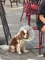IMG 0761
