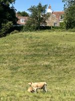 IMG 0883