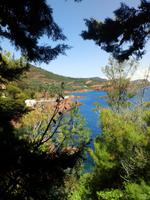 IMG-20190620-WA0093