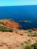 IMG-20190620-WA0136
