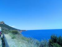 IMG-20190620-WA0146