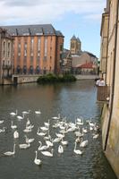 IMG_1147_Blick auf die Moselle Metz