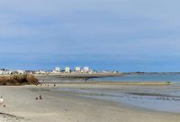 IMG_1152.jpg