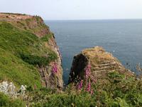 IMG_8789Cap Fréhel