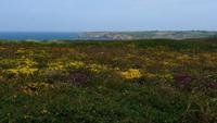 IMG_8851Pointe du Raz