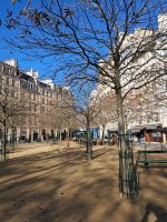 Ile de la Cité