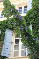Impressionen in Arles