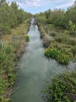 In der Camargue