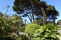 Insel Sark 