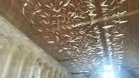 Installationim Mont Saint Michel