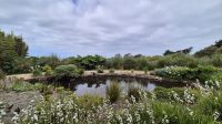 Jardin Botanique du Château de Vauville