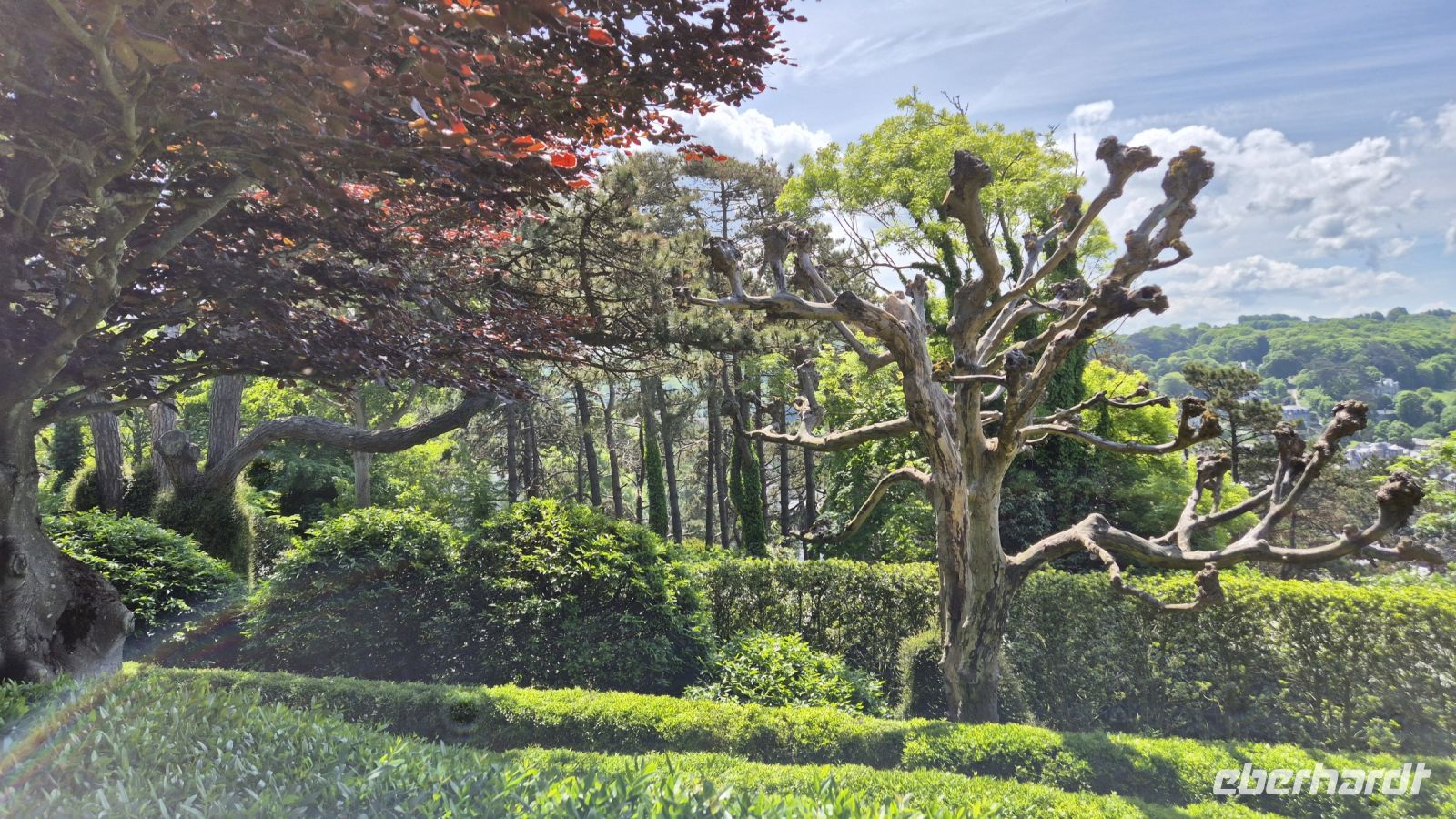 Jardin d'Étretat
