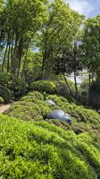 Jardin d'Étretat